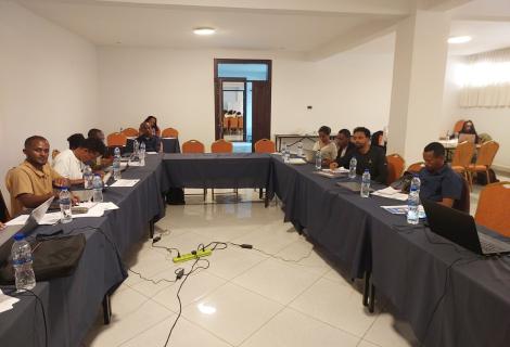 Partners Unite for the P-CAD Second-Year Planning in Adama!