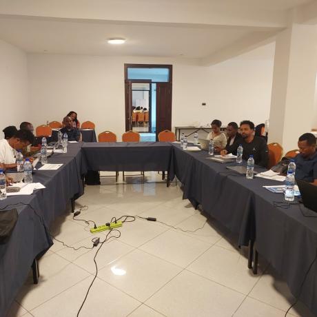  Partners Unite for the P-CAD Second-Year Planning in Adama!